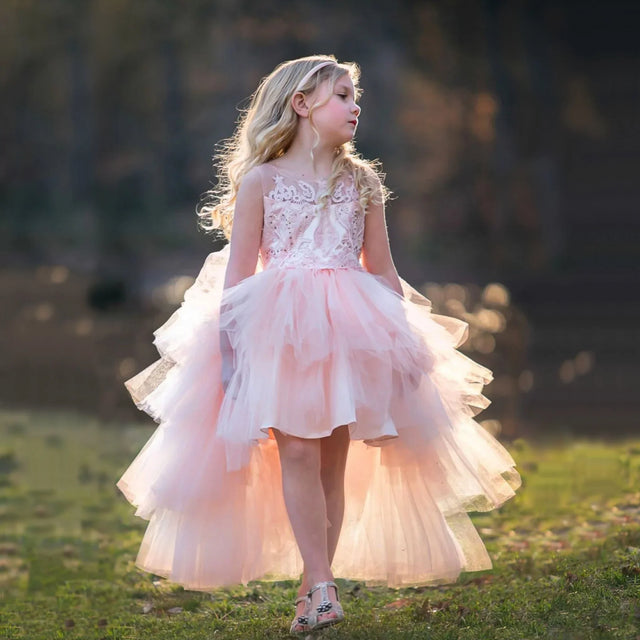 Ayla Dress (Blush) - APAMAH