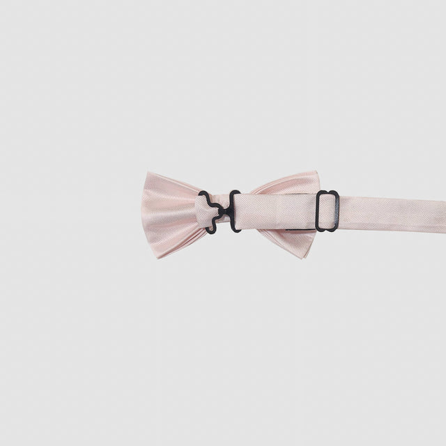 Bow Tie - APAMAH