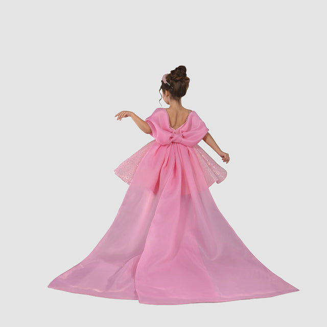 Luxury Princess Pink Gown